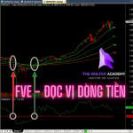 FVE Doc vi dong tien