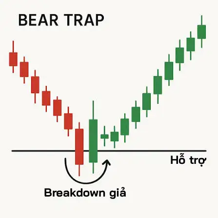 Bull Trap là gì, Bear Trap Là Gì? Cách Nhận Biết Và Tránh Bẫy Giá Bull Trap là gì, Bear Trap Là Gì? Cách Nhận Biết Và Tránh Bẫy Giá