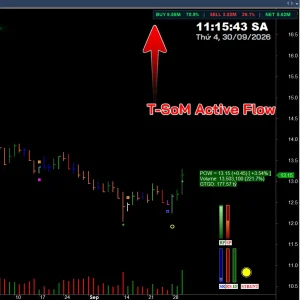 T-SOM Active Flow – Công Cụ Dòng Tiền Chủ Động Trên AmiBroker